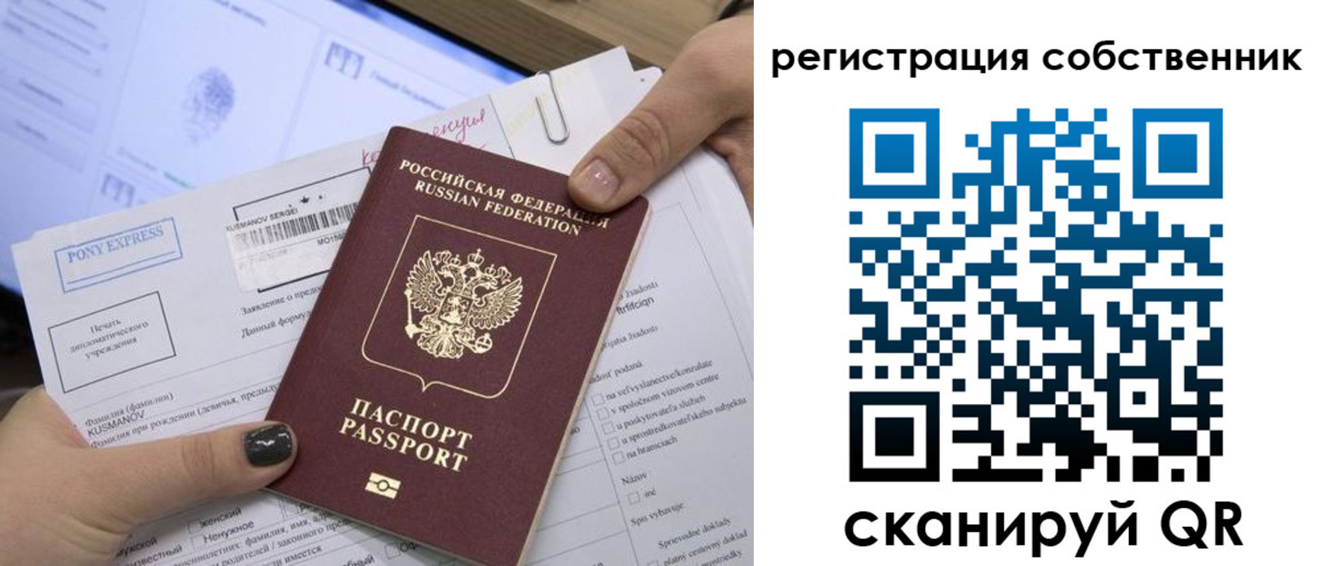 прописка поиск в Курске